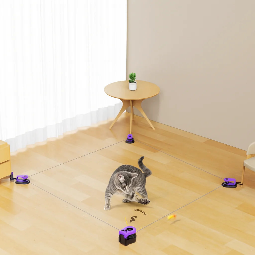 CatatPlayinMinimalistRoom.webp